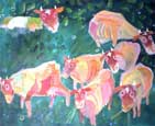 Cows